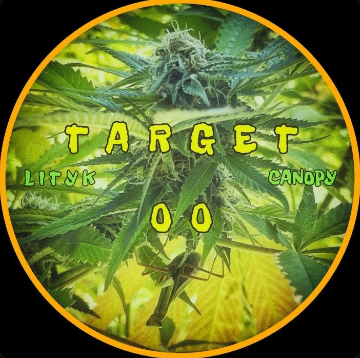 Target 00